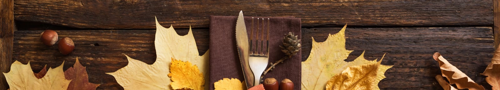 Thanksgiving Events Chicago